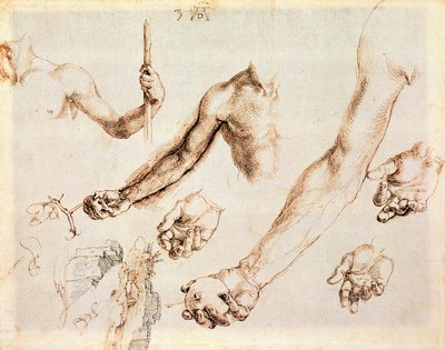 Study of Male Hands and Arms by Albrecht Dürer